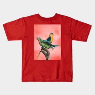 The Birds and the pink sky II Kids T-Shirt